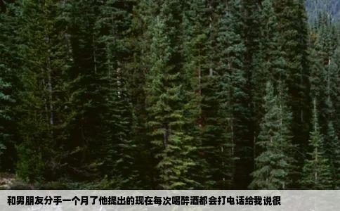和男朋友分手一个月了他提出的现在每次喝醉酒都会打电话给我说很