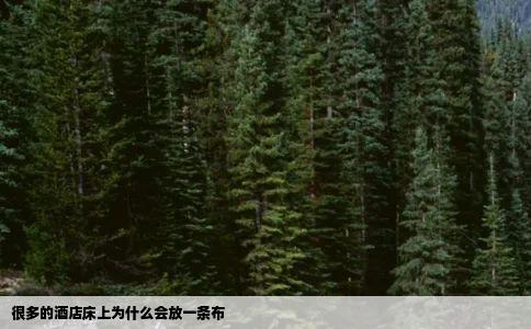 很多的酒店床上为什么会放一条布
