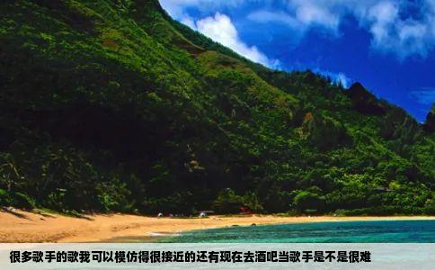 很多歌手的歌我可以模仿得很接近的还有现在去酒吧当歌手是不是很难