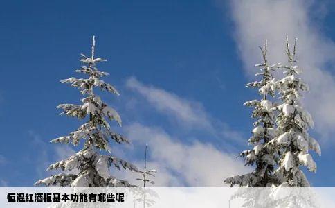 恒温红酒柜基本功能有哪些呢