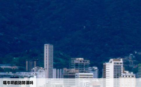 喝牛奶能防醉酒吗