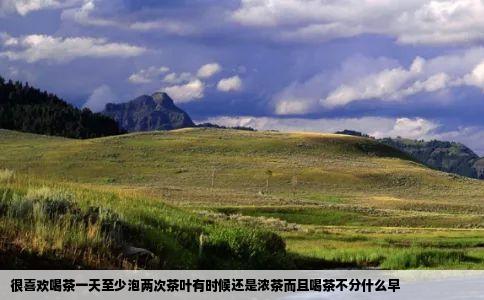 很喜欢喝茶一天至少泡两次茶叶有时候还是浓茶而且喝茶不分什么早