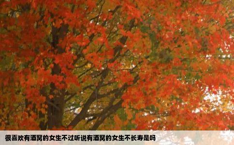 很喜欢有酒窝的女生不过听说有酒窝的女生不长寿是吗