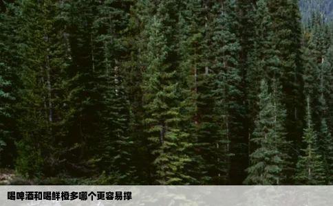 喝啤酒和喝鲜橙多哪个更容易撑