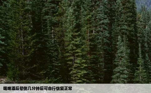 喝啤酒后晕倒几分钟后可自行恢复正常