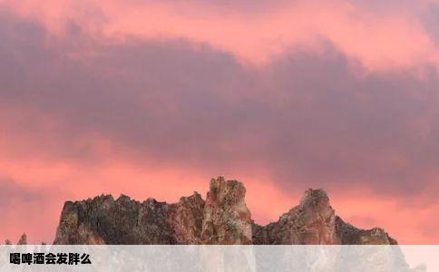 喝啤酒会发胖么