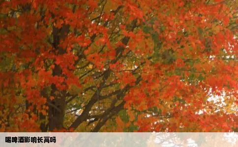 喝啤酒影响长高吗