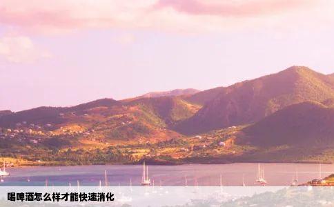 喝啤酒怎么样才能快速消化