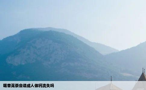 喝普洱茶会造成人体钙流失吗