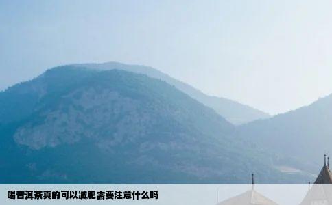 喝普洱茶真的可以减肥需要注意什么吗