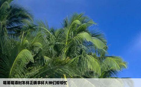 喝葡萄酒时怎样正确拿杯大神们帮帮忙