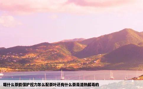 喝什么茶能保护视力怎么配茶叶还有什么茶是清热解毒的