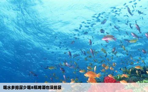 喝水多排尿少喝8瓶啤酒也没排尿