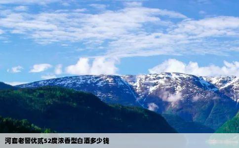 河套老窖优贰52度浓香型白酒多少钱