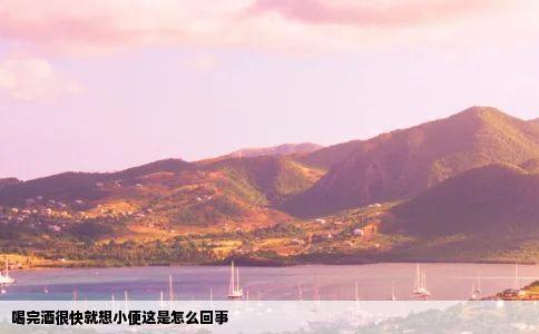 喝完酒很快就想小便这是怎么回事