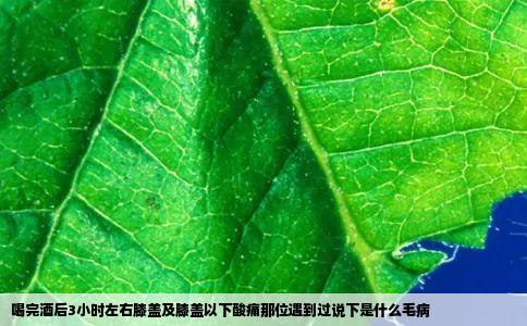 喝完酒后3小时左右膝盖及膝盖以下酸痛那位遇到过说下是什么毛病