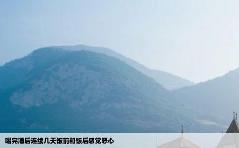 喝完酒后连续几天饭前和饭后感觉恶心