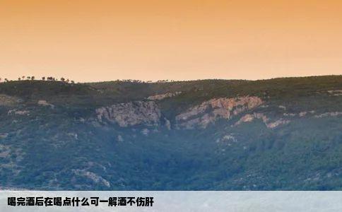 喝完酒后在喝点什么可一解酒不伤肝