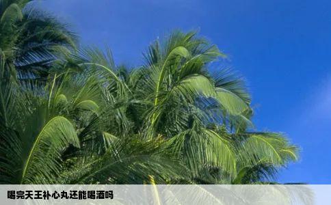 喝完天王补心丸还能喝酒吗