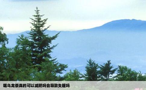 喝乌龙茶真的可以减肥吗会导致失眠吗