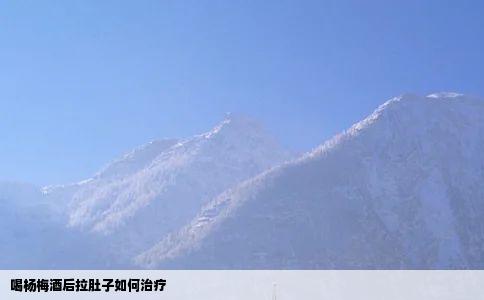 喝杨梅酒后拉肚子如何治疗