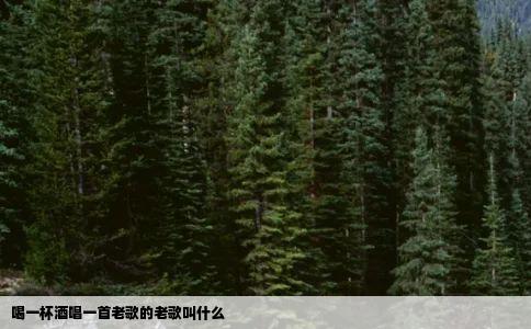 喝一杯酒唱一首老歌的老歌叫什么
