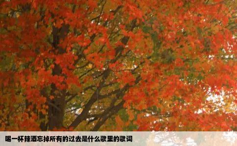 喝一杯辣酒忘掉所有的过去是什么歌里的歌词