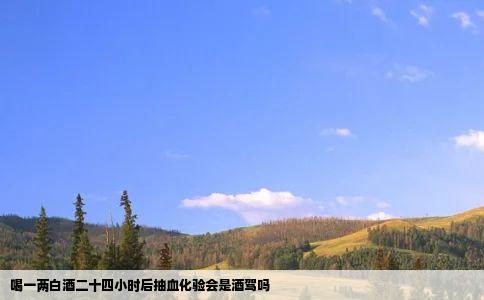 喝一两白酒二十四小时后抽血化验会是酒驾吗