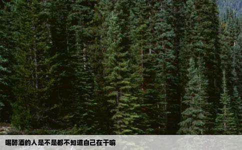 喝醉酒的人是不是都不知道自己在干嘛