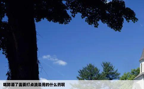 喝醉酒了需要打点滴是用的什么药啊