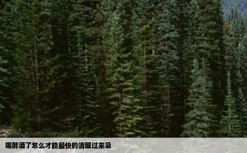 喝醉酒了怎么才能最快的清醒过来急