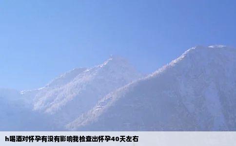 h喝酒对怀孕有没有影响我检查出怀孕40天左右