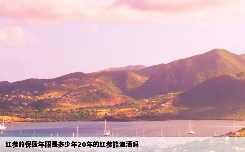 红参的保质年限是多少年20年的红参能泡酒吗