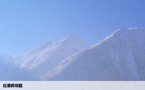 红茶的功能