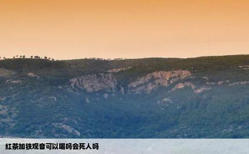 红茶加铁观音可以喝吗会死人吗