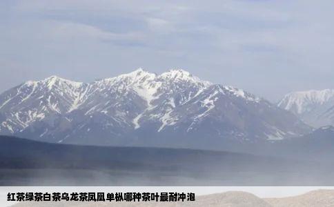 红茶绿茶白茶乌龙茶凤凰单枞哪种茶叶最耐冲泡