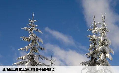 红酒倒出来放上20分钟会不会好喝点