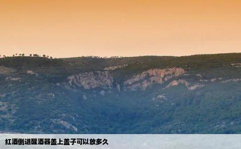 红酒倒进醒酒器盖上盖子可以放多久