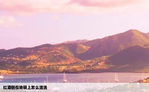 红酒倒在地砖上怎么清洗