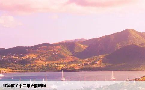 红酒放了十二年还能喝吗