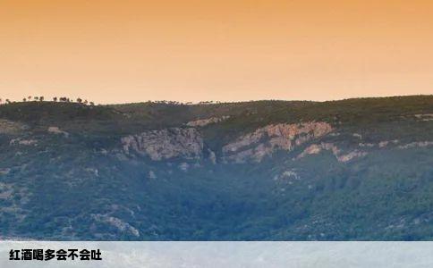 红酒喝多会不会吐