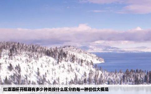 红酒酒杯开瓶器有多少种类按什么区分的每一种价位大概是