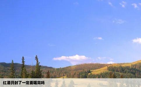 红酒开封了一定要喝完吗