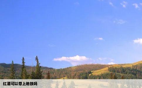 红酒可以带上地铁吗