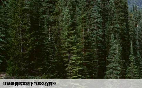 红酒没有喝完剩下的怎么保存亚