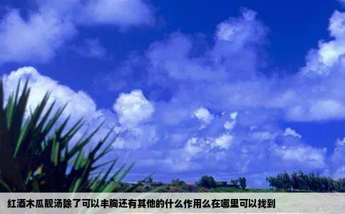 红酒木瓜靓汤除了可以丰胸还有其他的什么作用么在哪里可以找到