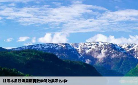 红酒木瓜靓汤里面有激素吗效果怎么样r