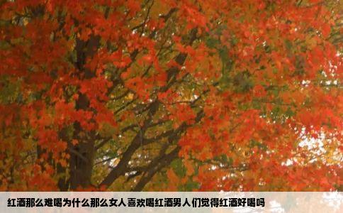 红酒那么难喝为什么那么女人喜欢喝红酒男人们觉得红酒好喝吗