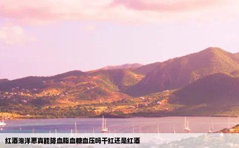 红酒泡洋葱真能降血脂血糖血压吗干红还是红酒
