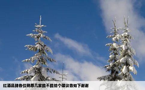 红酒品牌各位熟悉几家能不能给个建议告知下谢谢